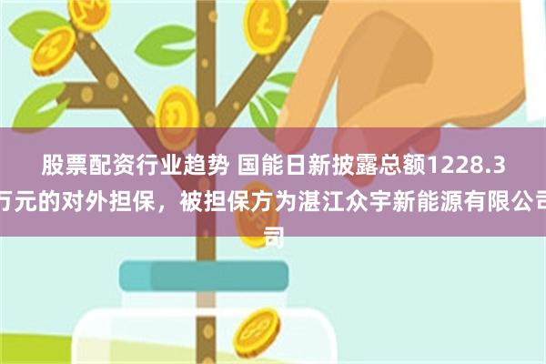 股票配资行业趋势 国能日新披露总额1228.3万元的对外担保，被担保方为湛江众宇新能源有限公司