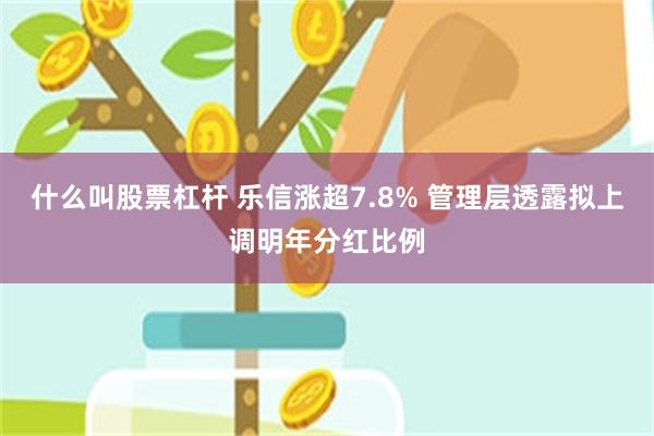 什么叫股票杠杆 乐信涨超7.8% 管理层透露拟上调明年分红比例