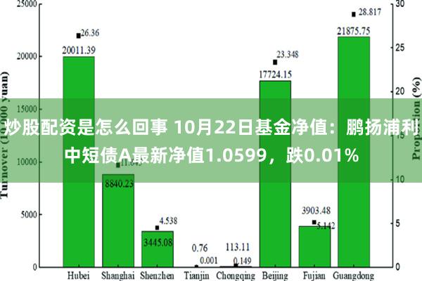 炒股配资是怎么回事 10月22日基金净值：鹏扬浦利中短债A最新净值1.0599，跌0.01%