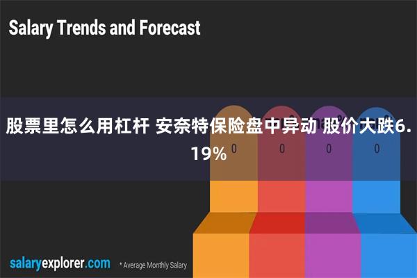 股票里怎么用杠杆 安奈特保险盘中异动 股价大跌6.19%