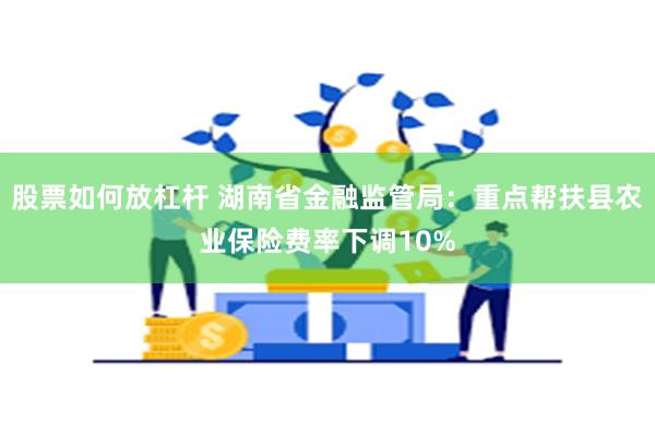 股票如何放杠杆 湖南省金融监管局：重点帮扶县农业保险费率下调10%