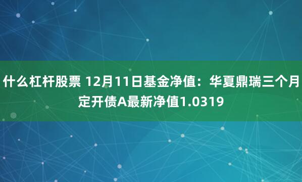 什么杠杆股票 12月11日基金净值：华夏鼎瑞三个月定开债A最新净值1.0319