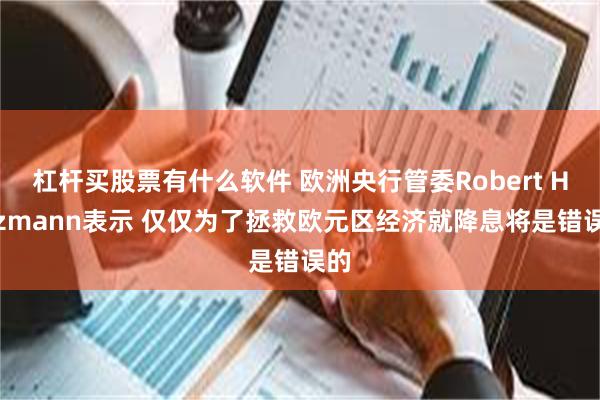 杠杆买股票有什么软件 欧洲央行管委Robert Holzmann表示 仅仅为了拯救欧元区经济就降息将是错误的