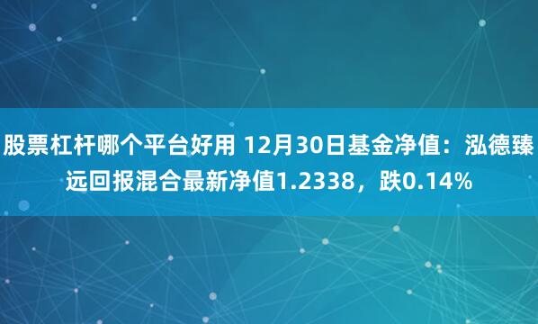 股票杠杆哪个平台好用 12月30日基金净值：泓德臻远回报混合最新净值1.2338，跌0.14%