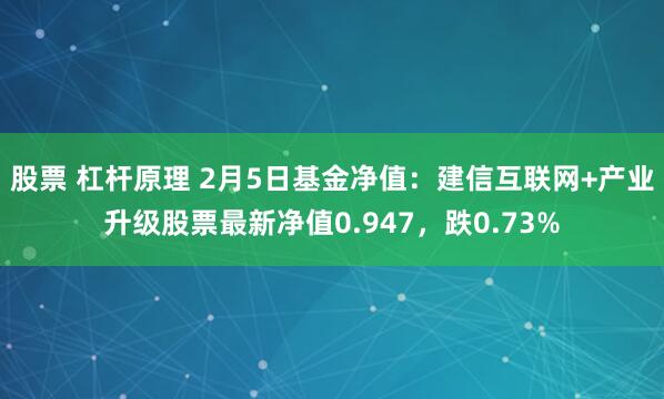 股票 杠杆原理 2月5日基金净值：建信互联网+产业升级股票最新净值0.947，跌0.73%