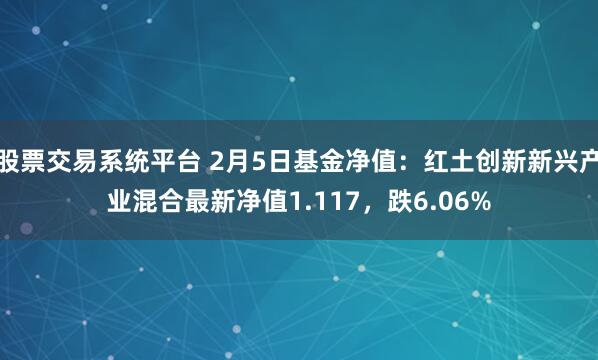 股票交易系统平台 2月5日基金净值：红土创新新兴产业混合最新净值1.117，跌6.06%