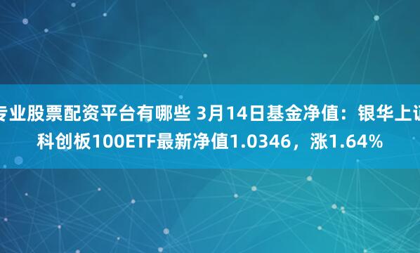 专业股票配资平台有哪些 3月14日基金净值：银华上证科创板100ETF最新净值1.0346，涨1.64%