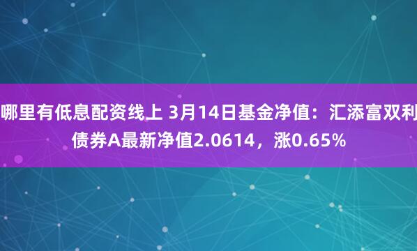 哪里有低息配资线上 3月14日基金净值：汇添富双利债券A最新净值2.0614，涨0.65%